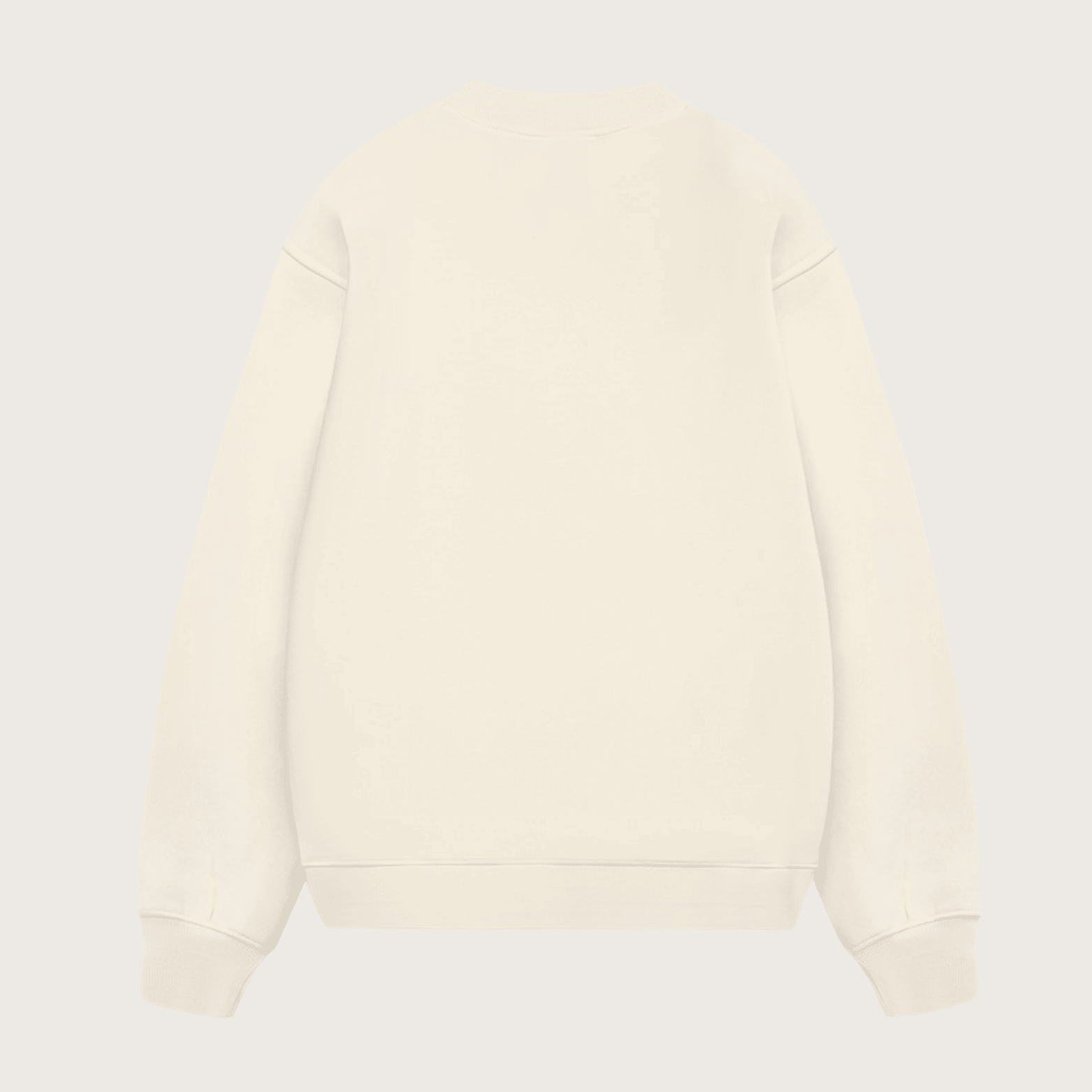 1762400089071.png Tropical Blue Berry Relaxed Fit Fleece Cotton Blend Pullover Sweater - Beige - Image 2